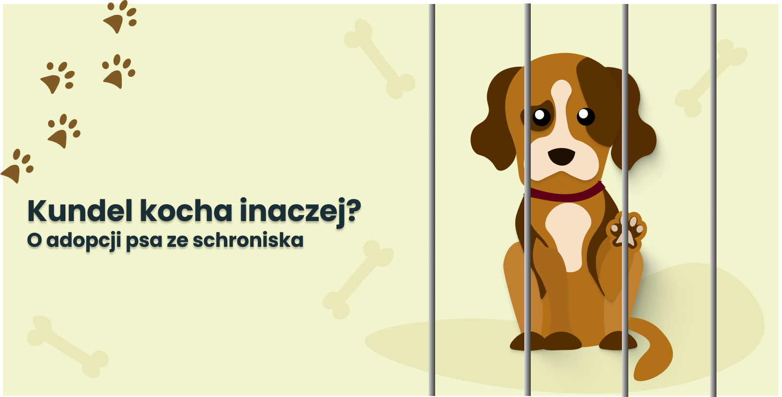 Kundel kocha inaczej? O adopcji psa ze schroniska